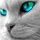 Uživatelský avatar