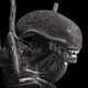 Uživatelský avatar