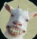 Uživatelský avatar