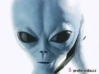 Uživatelský avatar
